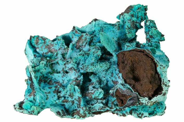 Chrysocolla and Malachite Pseudomorph - Lupoto Mine, Congo #167669